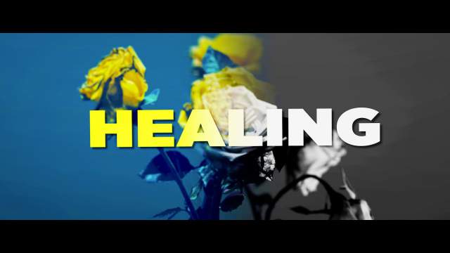 Healing Lyrics - Disorient