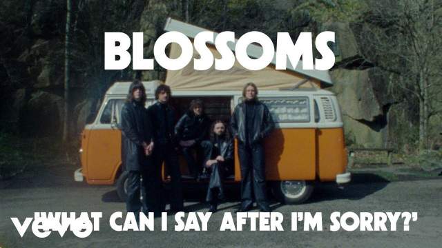 What Can I Say After I’m Sorry? Lyrics - Blossoms
