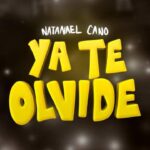Ya Te Olvidé Lyrics (English Translation) - Natanael Cano